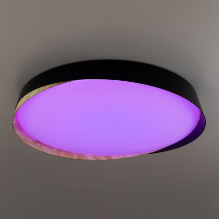 Светильник потолочный музыкальный Citilux Bonny (Бонны) CL754451G