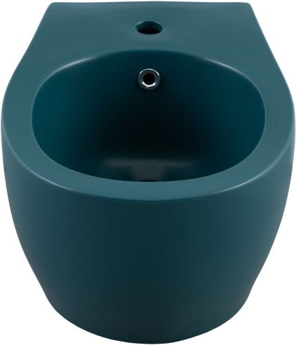 Биде Allen Brau Fantasy 4.11006.PT подвесное - фото 5