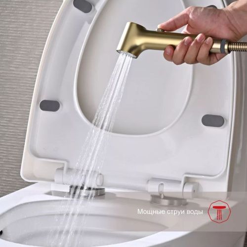 Гигиенический душ со смесителем Raglo R03.52.03 сатин золотой - фото 5