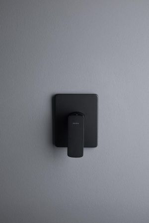 Смеситель для душа Allen Brau Infinity 5.21015-31 встраиваемый в стену черный