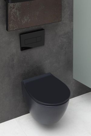 Чаша унитаза подвесная Allen Brau Fantasy 4.11004.31 цвет черный без сиденья безободковая каскадный смыв