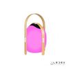 Настольная лампа iLedex Giggle (Гиггле) OVS1100-CH WH