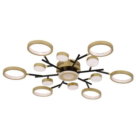 Светильник потолочный F-Promo Hybrid (Хыбрид) 4686-13C