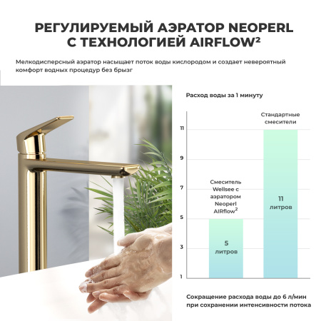 Смеситель Wellsee ICON! for life 182308000 на столешницу золото