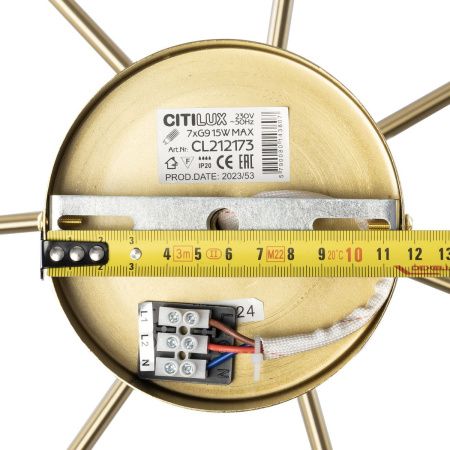 Люстра на штанге Citilux Tonga (Тонга) CL212173