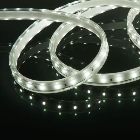Светодиодная лента Elektrostandard LS014 220V 4690389170959