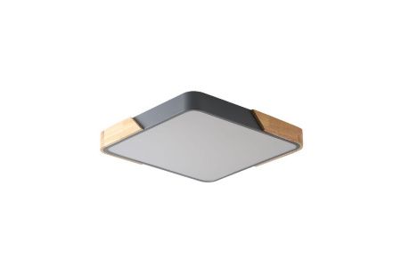 Светильник потолочный Zortes Alberro (Алберро) ZRS.01288.36
