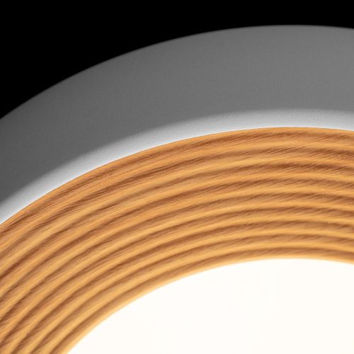 Светильник потолочный Loft It Folk 10255/350 White - фото 5