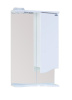 Зеркало-шкаф Onika Лайн 204802 48х17х80 подвесной цвет белый