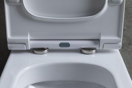 Чаша унитаза напольная Allen Brau Priority 4.31003.20 цвет белый без бачка с сиденьем микролифт безободковая каскадный смыв