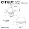 Люстра на штанге Citilux Ronny (Ронны) CL242133