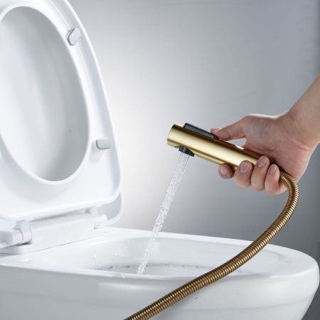 Гигиенический душ со смесителем Shevanik S43G S4305G-1 золото