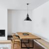 Светильник подвесной Lightstar Loft (Лофт) 765027
