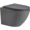 Унитаз подвесной WeltWasser 10000009941 серый с сиденьем микролифт безободковый смыв торнадо