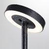 Ландшафтный светильник Odeon Light Disc (Дисц) 7189/6GL