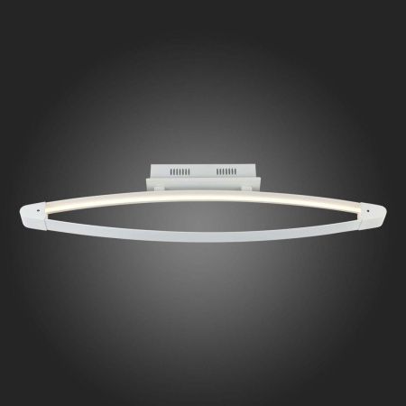 Светильник потолочный ST Luce SL920 SL920.102.01
