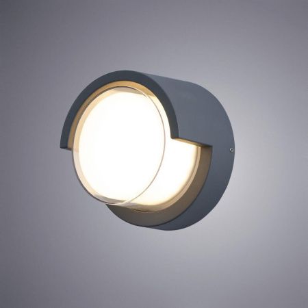 Уличный настенный светодиодный светильник Arte Lamp Lancia (Ланциа) A8159AL-1GY