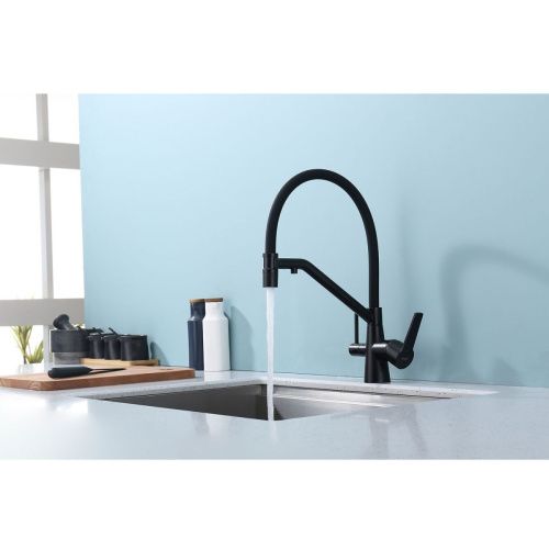 Смеситель для кухни Raglo R80 R80.62.06 на мойку черный - фото 4