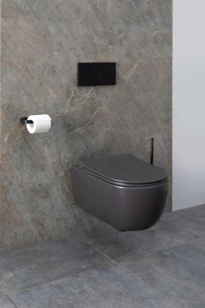 Чаша унитаза подвесная Allen Brau Priority 4.31001.AN цвет черный без сиденья безободковая каскадный смыв