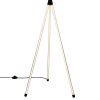 Торшер Citilux Lucia (Луциа) CL217961