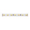 Светодиодная лента Maytoni Led Strip 20041