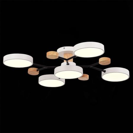 Люстра на штанге Evoluce Faema (Фаема) SLE6006-502-05