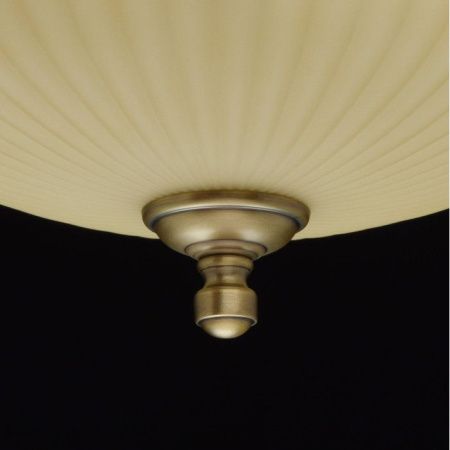 Светильник накладной MW-Light Афродита 317011202