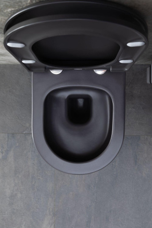 Чаша унитаза подвесная Allen Brau Priority 4.31002.AN цвет черный без сиденья безободковая каскадный смыв