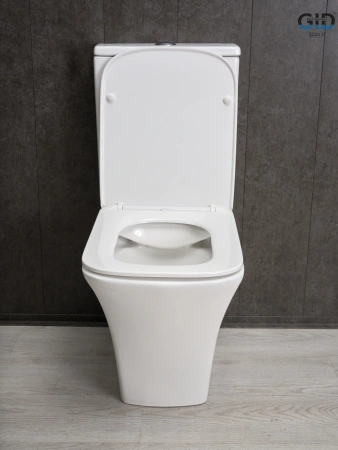 Унитаз напольный с бачком Gid Cuadrado Tn2184 (62251Y) белый с сиденьем микролифт безободковый