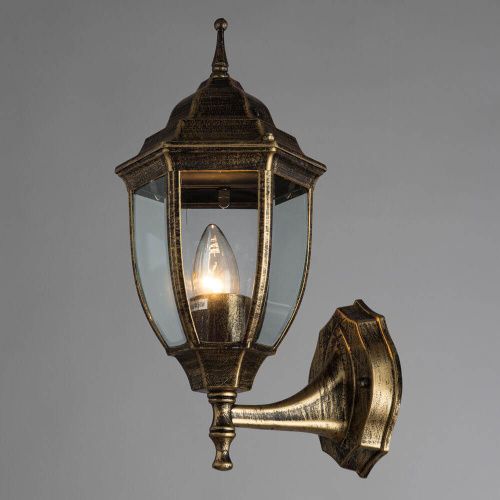Уличный настенный светильник Arte Lamp Pegasus (Пегасус) A3151AL-1BN - фото 5