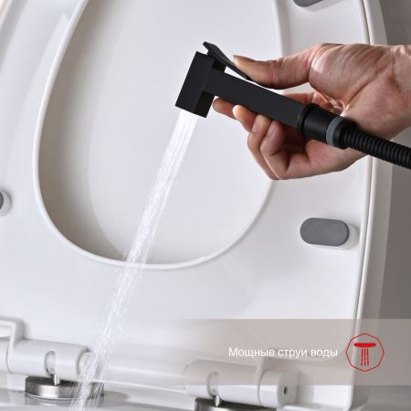 Гигиенический душ со смесителем Raglo R01.52.06 черный