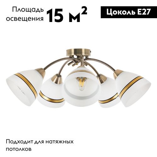Люстра потолочная Myfar Emily (Емилы) MR1460-5C - фото 2