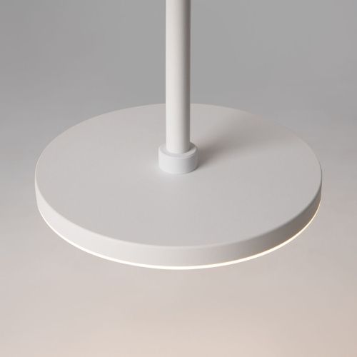 Светильник подвесной Wertmark Technical Plato Pendant P076PL-L12W4K-W - фото 3