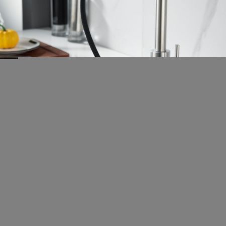 Смеситель для кухни Shevanik S263L на мойку сатин