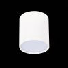 Светильник потолочный ST Luce Rene (Рене) ST113.532.05