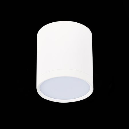 Светильник потолочный ST Luce Rene (Рене) ST113.532.05