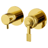 Смеситель для душа Remer Atelier AL92ZPDO встраиваемый в стену золото