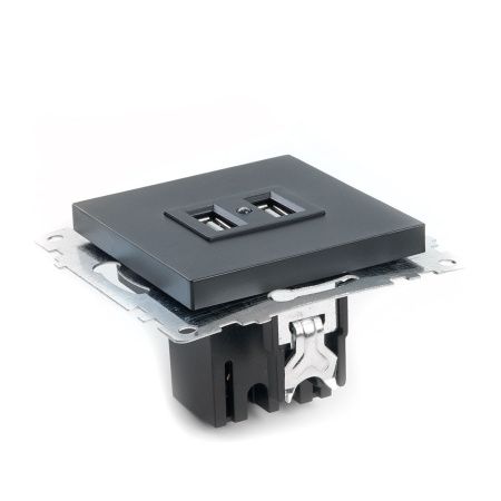 Розетка USB 2-местная Stekker Катрин 39616