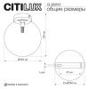 Светильник потолочный Citilux Orton (Ортон) CL202512