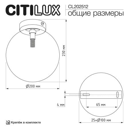 Светильник потолочный Citilux Orton (Ортон) CL202512