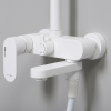 Душевая стойка WasserKRAFT Mindel 8500 A185.257.155.WM настенная цвет белый Душевая стойка WasserKRAFT Mindel 8500 A185.257.155.WM настенная цвет белый
