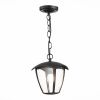 Уличный подвесной светильник ST Luce Sivino (Сивино) SL081.403.01