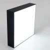 Светильник накладной Citilux Тао CL712X182N