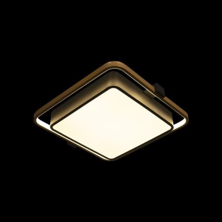 Светильник потолочный Loft It Mike 10171