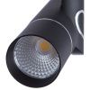 Спот светодиодный Arte Lamp Orion (Орион) A2514PL-1BK