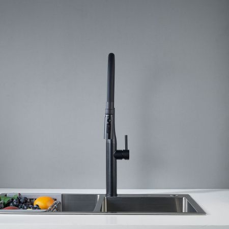 Смеситель для кухни Shevanik S123H-3 на мойку черный