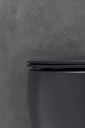 Чаша унитаза подвесная Allen Brau Fantasy 4.11004.31 цвет черный без сиденья безободковая каскадный смыв