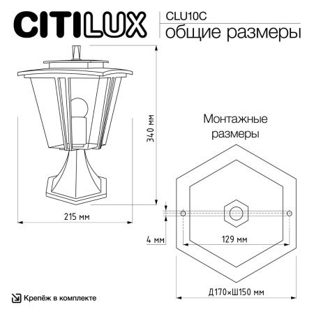 Уличный парковый светильник Citilux Forts (Фортс) CLU10C