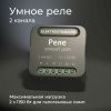 Умное двухканальное реле Elektrostandard 4690389185083