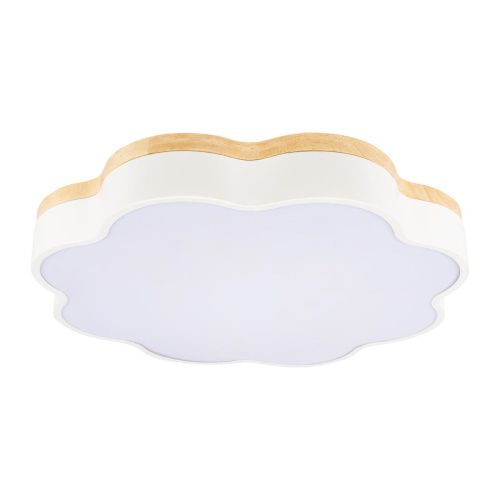 Светильник потолочный Loft It Axel 10225/36 White - фото 3